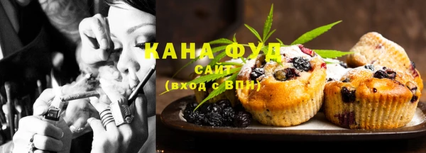 прущие грибы Лабытнанги