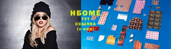 прущие грибы Лабытнанги