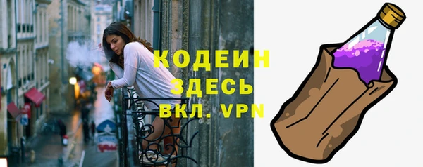 прущие грибы Лабытнанги