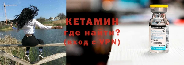 прущие грибы Лабытнанги