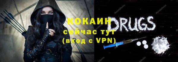прущие грибы Лабытнанги