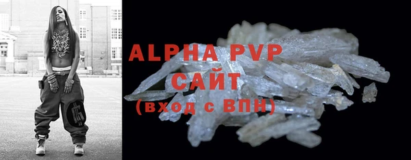 прущие грибы Лабытнанги