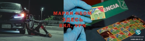 прущие грибы Лабытнанги