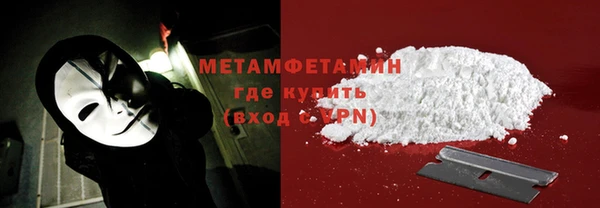 прущие грибы Лабытнанги
