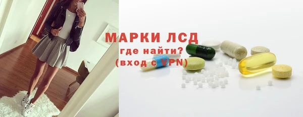 прущие грибы Лабытнанги