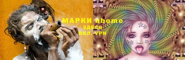 прущие грибы Лабытнанги