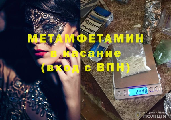 прущие грибы Лабытнанги
