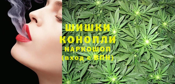 эйфоретик Ладушкин