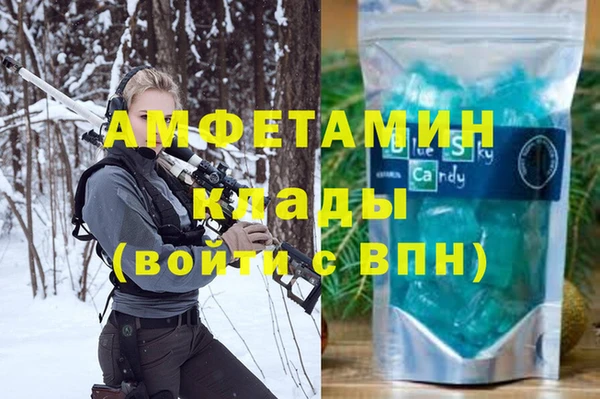 прущие грибы Лабытнанги