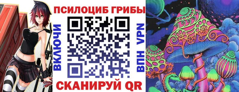 Купить где  Калининец  Псилоцибиновые грибы прущие грибы 